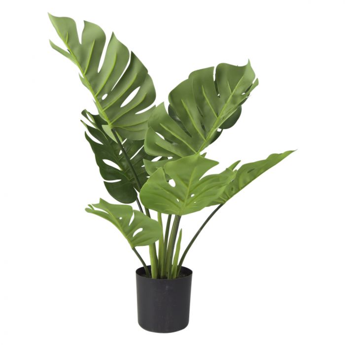 faux tropical plant
