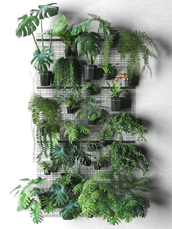 Indoor plant garden ideas