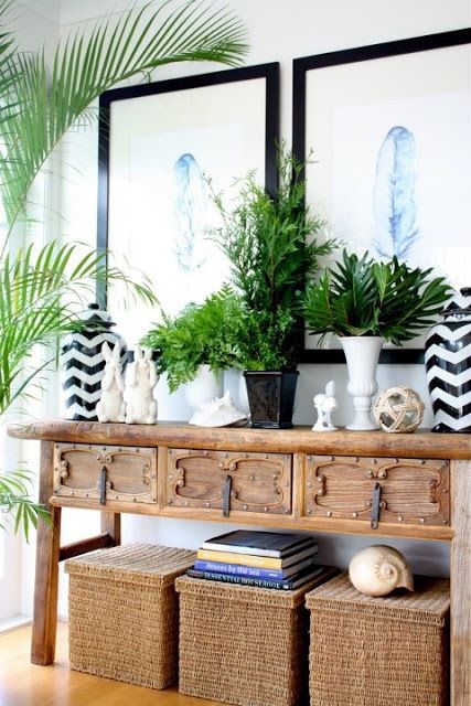 indoor tropical paradise