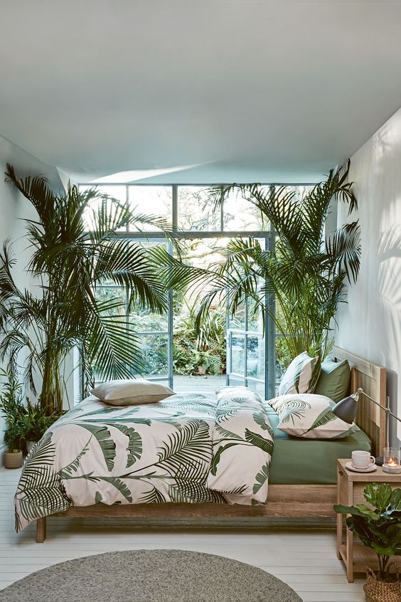 indoor tropical paradise