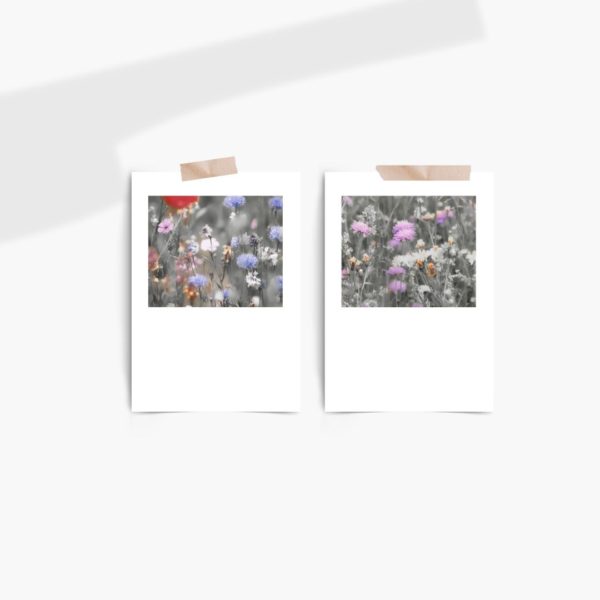Wild Floral Free Printables