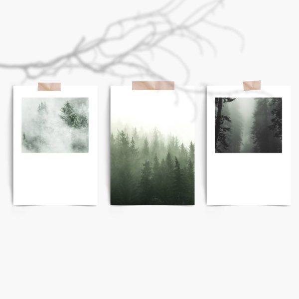 aMisty Forest Set Free Prints